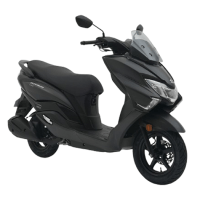BURGMAN STREET STANDARD (UB125NM-9)