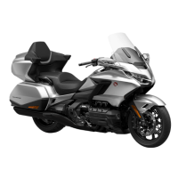 The New Gold Wing