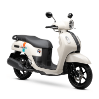 MIO FAZZIO (BRV4)