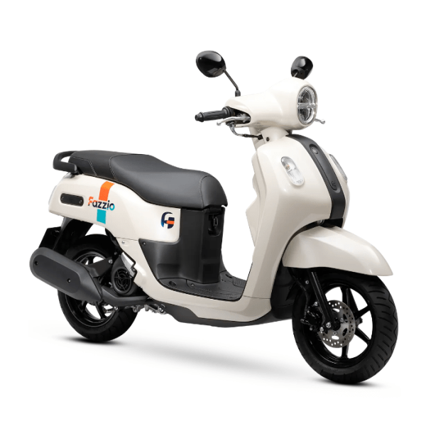 MIO FAZZIO (BRV4)