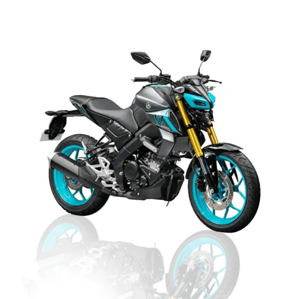 MT-15 - Image 2