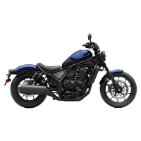 REBEL 1100