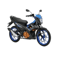 Raider R150 (Carburetor)