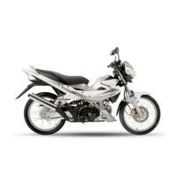 Kawasaki Fury 125